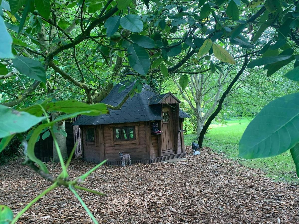 Starry Meadow & Rescued Animal Experiences Villa เกรทยาร์มัธ ภายนอก รูปภาพ